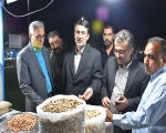 بازدید مدیرکل دفتر امور شهری و شوراها استانداری یزد از چهارمین جشنواره ملی پسته احمدآباد